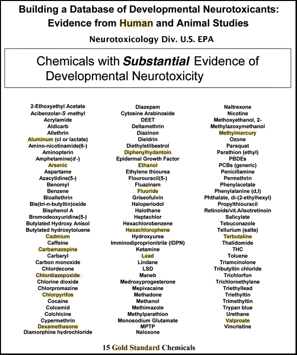 Developmental Neurotoxicants
