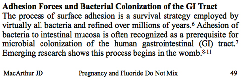 Page 49: Adhesion and colonization