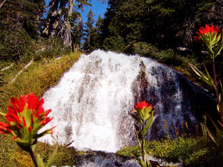 Source spring for Bend's drinking water